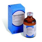 SPASMOBRONCHAL